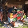 Obisk iz Hrvaške - Zagorje | Predstavitev čebelarstva in zgodovina